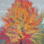 Maple Tree in Full Color, 20" x 17"